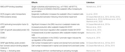 Oxaliplatin-Induced Neuropathy: Genetic and <mark class="highlighted">Epigenetic Profile</mark> to Better Understand How to Ameliorate This Side Effect